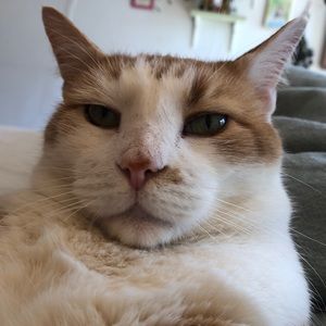 Meet your Posher, Julia